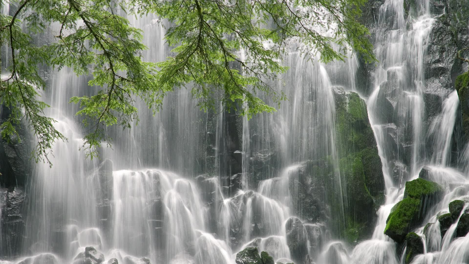 世界登山青年导师生态保护长期项目获基金支持，世界登山大师
